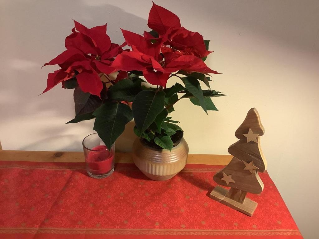 Blumenhaus Lejlighed Velten Eksteriør billede